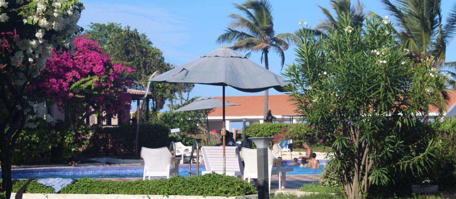 Beachfront Dining in Mahabalipuram, Ayurvedic Spa Treatments Resort